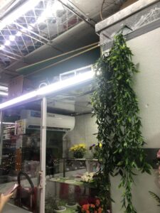 Flower Street Gifts Trading LLC