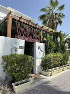 Wealth of Wellness Dubai